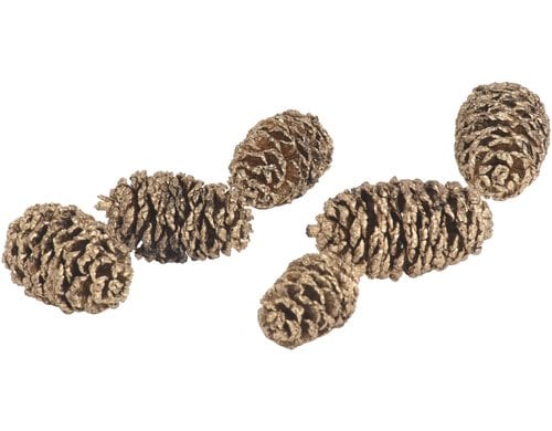 COCON Erlenzapfen, Box à 150g Grösse ca. 2x3cm, gold, Erle