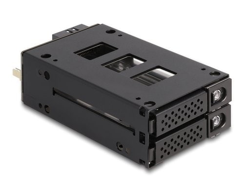 Delock Slim Bay Wechselrahmen für 2x2.5 U.2 NVMe SSD