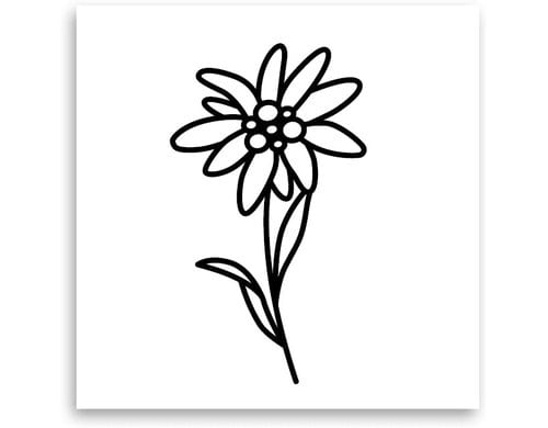 minink Tattoo Edelweiss Blume Grösse: S (2.4 cm x 4.2 cm)