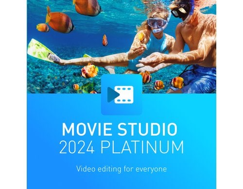 Magix Movie Studio 2024 Platinum ESD, Vollversion, DE,EN,ES,FR