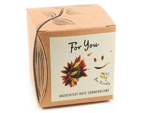 Anzucht For You Set mit Sonnenblume Abendrot