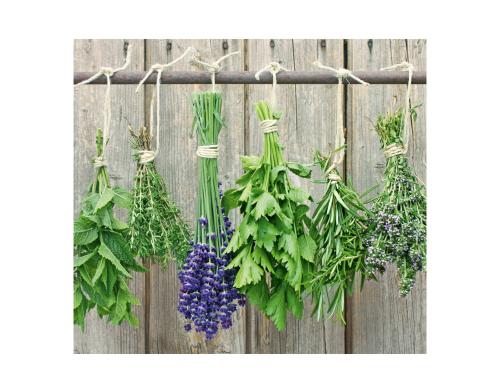 Zeller Present Herdabdeck-/Schneideplatten Kräuter, Glas, 56x50cm