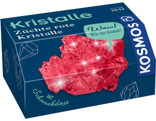 Rote Kristalle selbst züchten