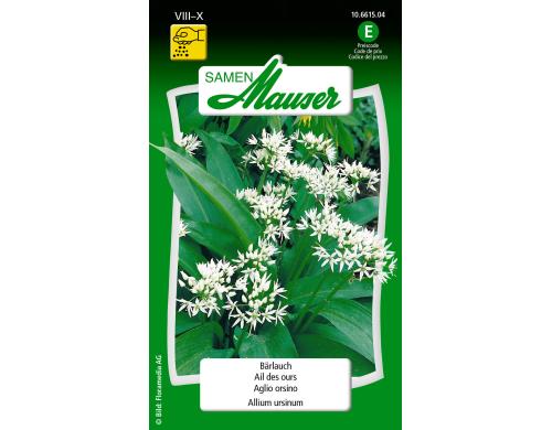 Bärlauch Allium ursinum
