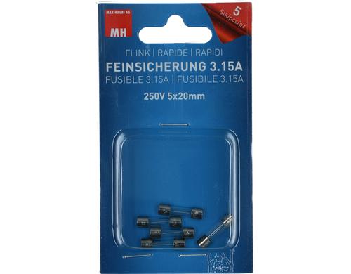 Max Hauri Feinsicherung 3.15A  250V 5x20mm flink, 5 Stk.