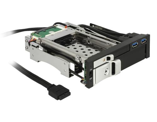 Delock HDD Einbausatz, 1x2.5&3.5, 2xUSB3 schwarz, Hot-Swap, abschliessbar
