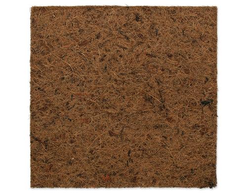 Repti Planet Coco Hintergrund 30x30cm