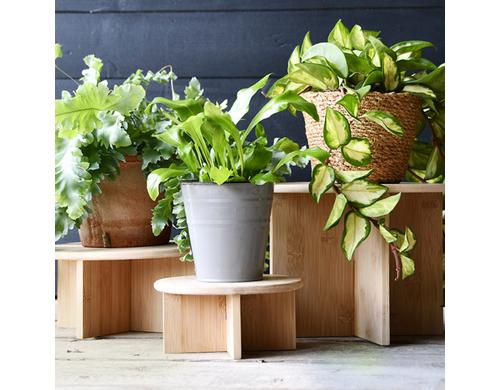 Esschert Design Blumenständer S, Bambus FSC 100%, 18x8.5 cm (DxH)