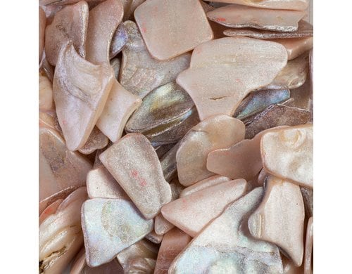 Ambiance Glänzende Muschelplatten Creme in Flasche 250 ml