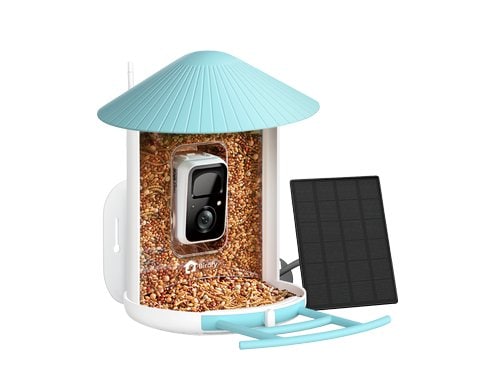 Birdfy Futterspender Basic Solar Vogelfutterspender mit Kamera + Lifetime Ai