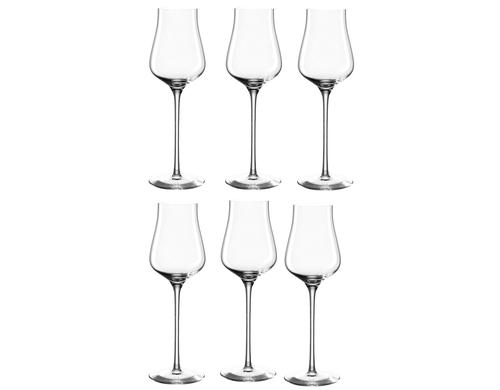 Leonardo Grappaglas Brunelli 210ml 6 Stück