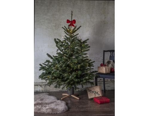 Star Trading Standfuss Weihnachtsbäume 45 cm x 45 cm, Indoor