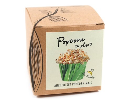 Anzucht Popcorn-to-Plant Set mit Popcorn Mais