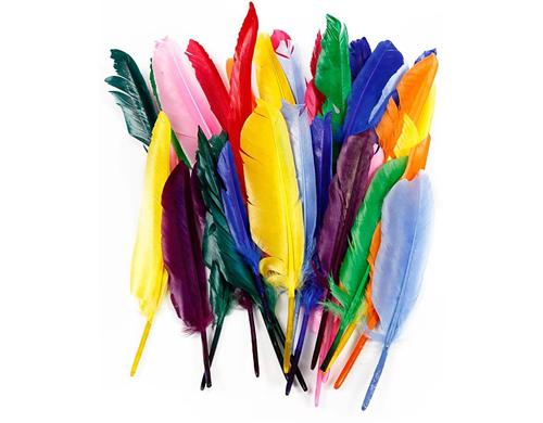 Creativ Company Federn 17 - 20 cm 250 Stück