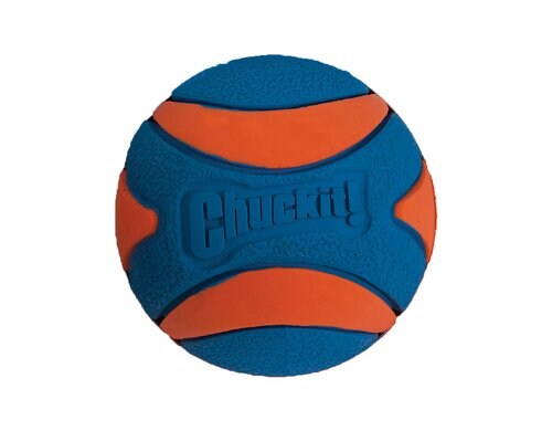ChuckIt! Ultra Squeaker Ball  M