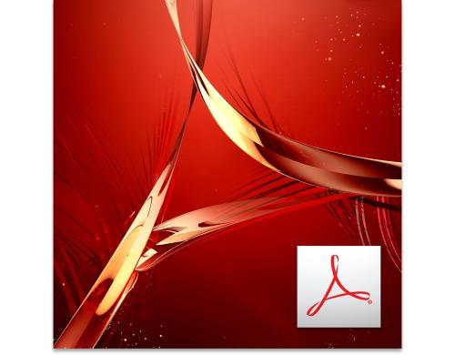 Adobe Acrobat Pro DC, Lizenz MAC/WIN MP, Abo 1 Jahr, Level 2/10-49, Voll., ML