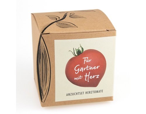 Anzucht Herztomate Set mit Saatgut der Herztomate