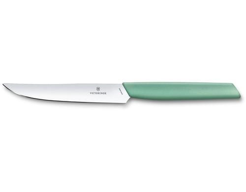 Victorinox Steakmesser 12cm Mint-Green Gerader Schliff