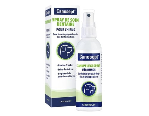Canosept Zahnpflegespray 100 ml