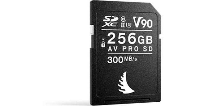 AV PRO SD MK2 256GB V90 1er Pack