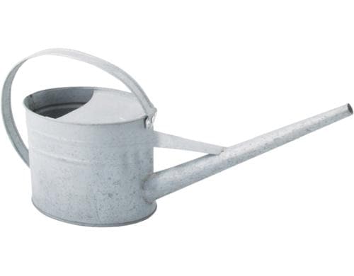 Esschert Design Giesskanne Zimmerpflanzen, 42,4x11,5x19,9, verzinkt