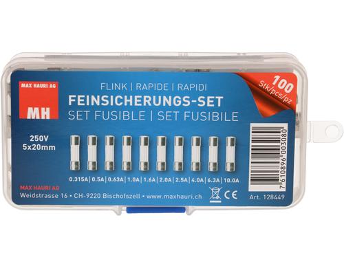 Max Hauri Feinsicherungs-Set 5x20mm flink