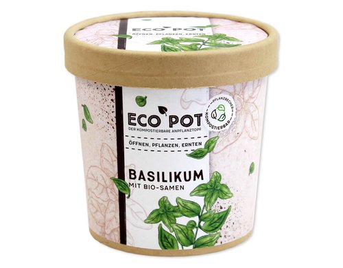 Basilikum BIO EcoPot