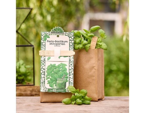 Stadtgärtner Anzuchtsset Pesto-Basilikum - BIO