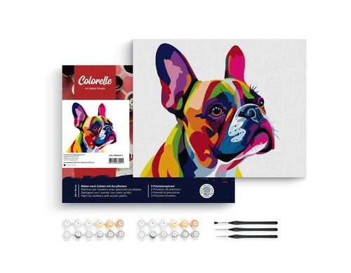 Colorelle MNZ FrzBulldogge Pop Art gesp. Leinwand, Pinsel, Acrylfarben, ab 14J