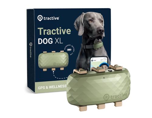 Tractive Hunde Tracker GPS DOG XL grün