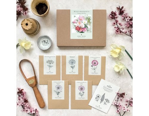 Blumenstrauss zum selber Pflanzen Cosmos Collection