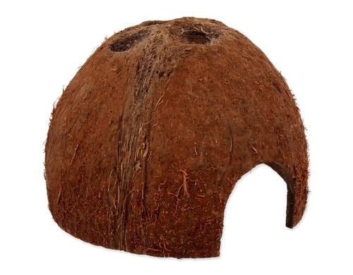 Repti Planet Coco Schale S