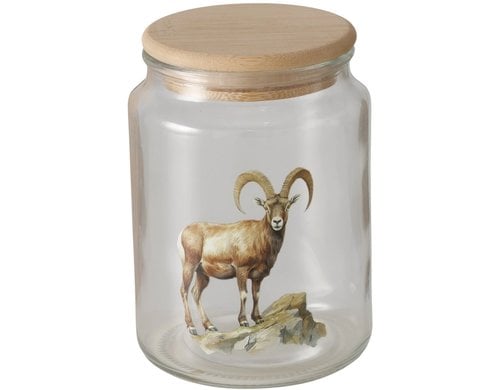 Boltze Vorratsglas Poldie 650ml Glas, 650ml