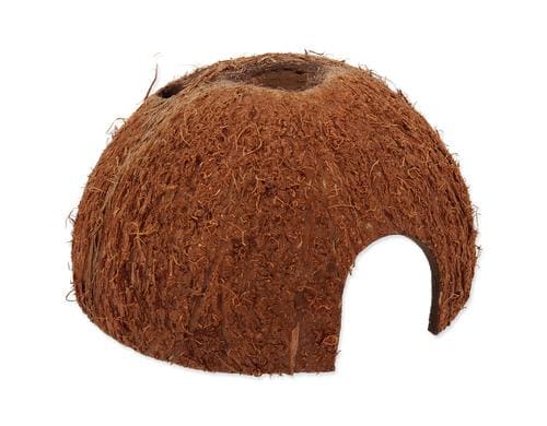 Repti Planet Coco Schale L