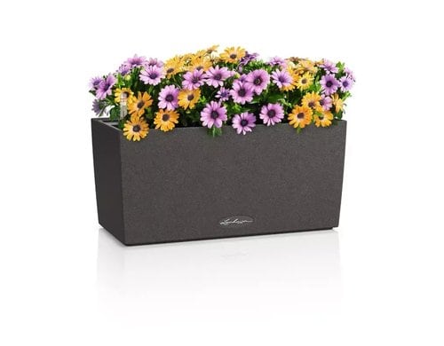 BALCONERA Stone 40 6 l