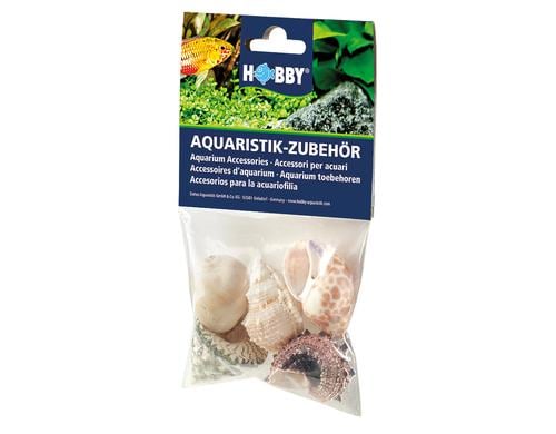 Hobby Aqua Sea Shells L 5Stk.