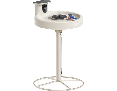 Birdfy Intelligentes Vogelbad mit Kamera Solarbetrieben, KI & Video Vogelerkennung
