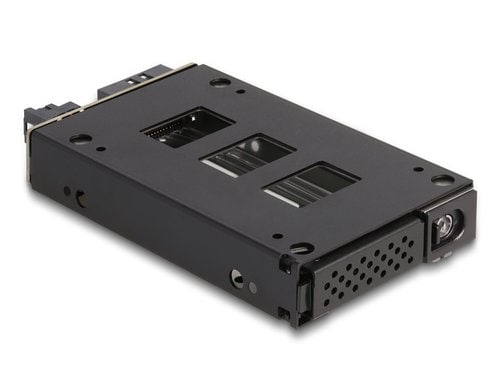 Delock Slim Bay Wechselrahmen für 1x2.5 U.2 NVMe SSD
